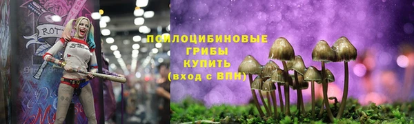 гашиш Заводоуковск