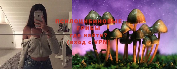 гашиш Заводоуковск